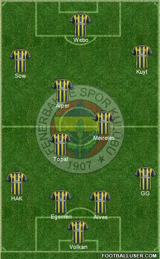 Fenerbahçe SK Formation 2013