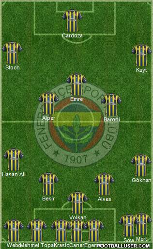 Fenerbahçe SK Formation 2013