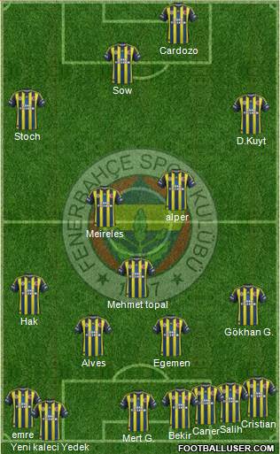 Fenerbahçe SK Formation 2013