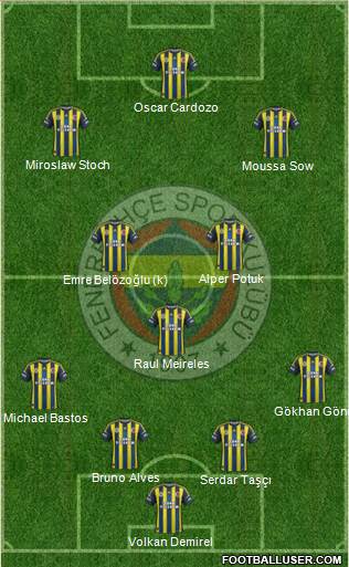 Fenerbahçe SK Formation 2013
