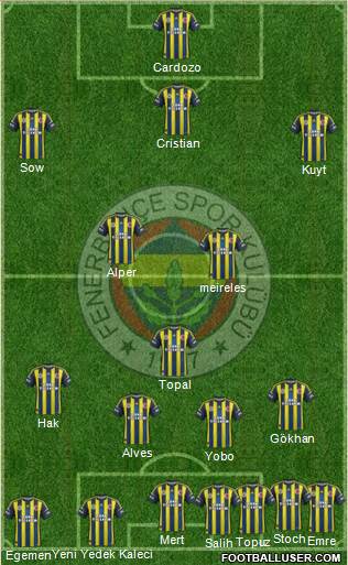 Fenerbahçe SK Formation 2013