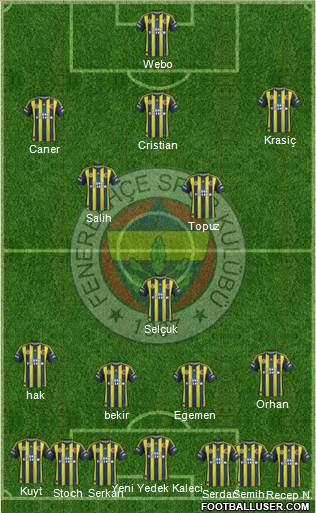 Fenerbahçe SK Formation 2013