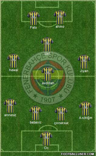Fenerbahçe SK Formation 2013