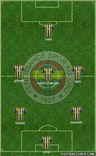 Fenerbahçe SK Formation 2013