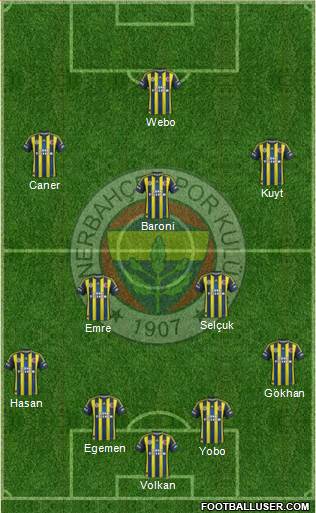Fenerbahçe SK Formation 2013