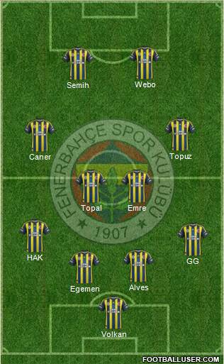 Fenerbahçe SK Formation 2013
