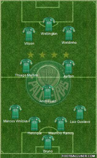 SE Palmeiras Formation 2013