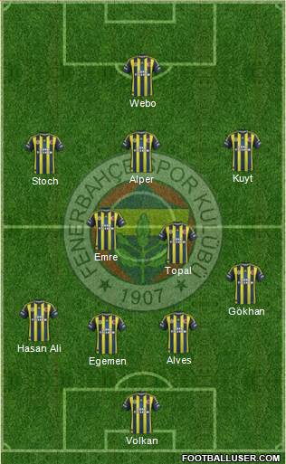 Fenerbahçe SK Formation 2013
