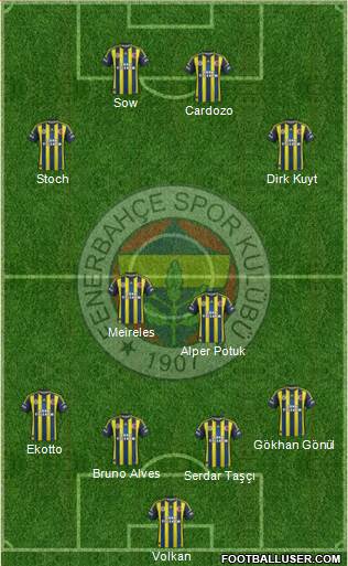 Fenerbahçe SK Formation 2013