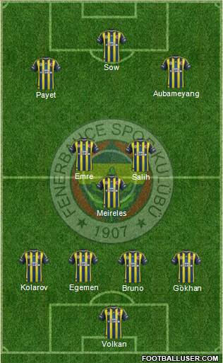 Fenerbahçe SK Formation 2013