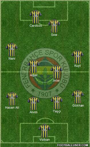 Fenerbahçe SK Formation 2013