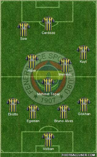 Fenerbahçe SK Formation 2013