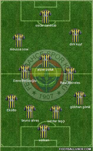 Fenerbahçe SK Formation 2013