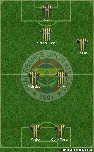 Fenerbahçe SK Formation 2013