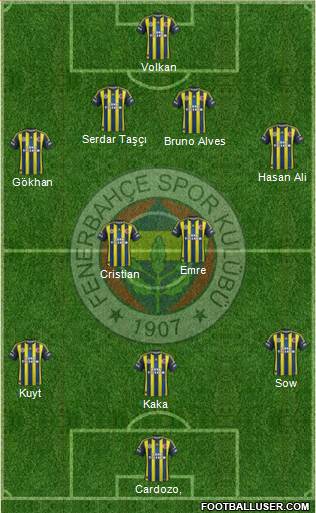 Fenerbahçe SK Formation 2013