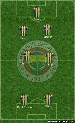 Fenerbahçe SK Formation 2013