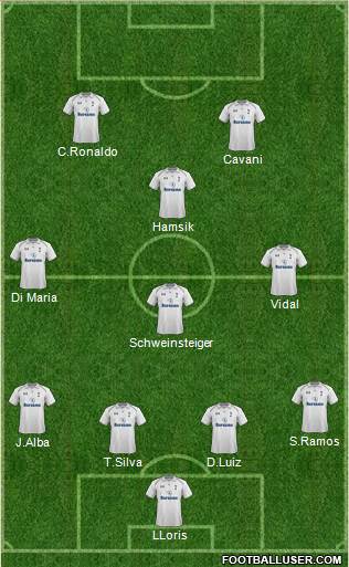Tottenham Hotspur Formation 2013