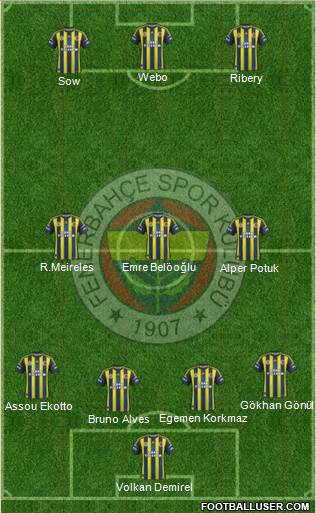 Fenerbahçe SK Formation 2013
