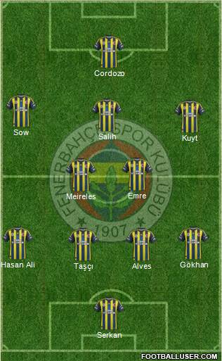 Fenerbahçe SK Formation 2013