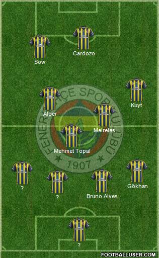 Fenerbahçe SK Formation 2013