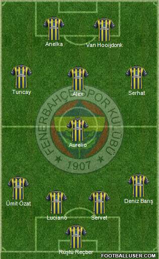 Fenerbahçe SK Formation 2013