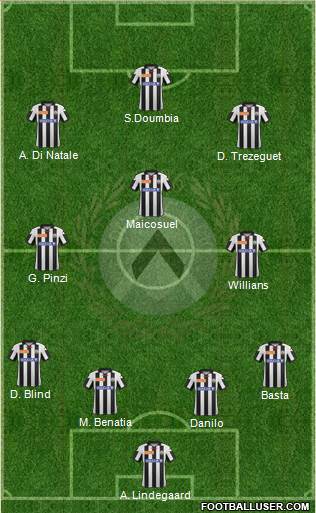 Udinese Formation 2013