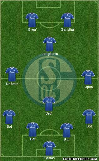 FC Schalke 04 Formation 2013