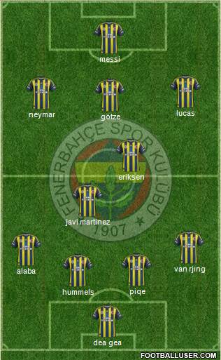 Fenerbahçe SK Formation 2013