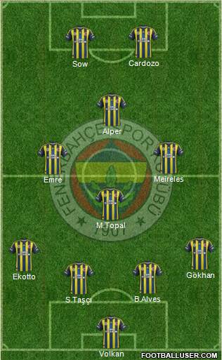 Fenerbahçe SK Formation 2013
