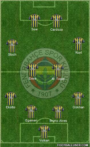 Fenerbahçe SK Formation 2013