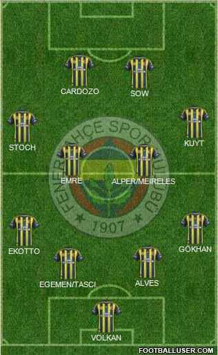 Fenerbahçe SK Formation 2013
