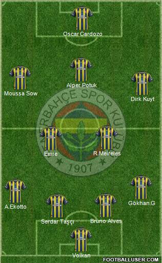 Fenerbahçe SK Formation 2013