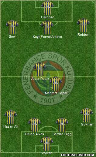 Fenerbahçe SK Formation 2013