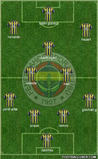 Fenerbahçe SK Formation 2013