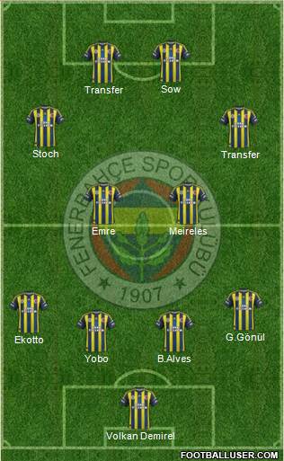 Fenerbahçe SK Formation 2013