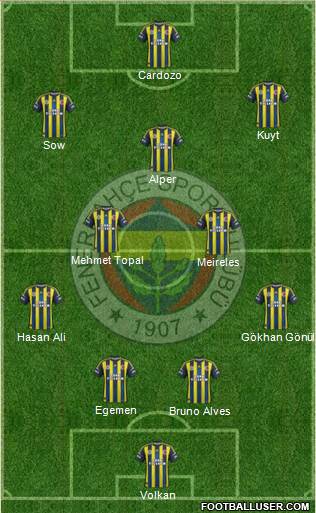Fenerbahçe SK Formation 2013