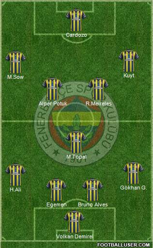 Fenerbahçe SK Formation 2013