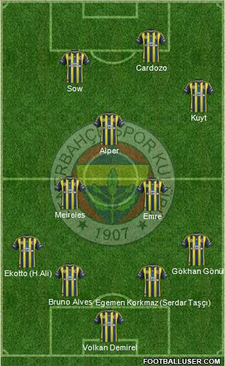 Fenerbahçe SK Formation 2013