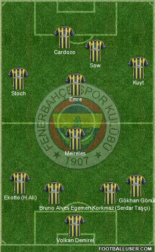 Fenerbahçe SK Formation 2013