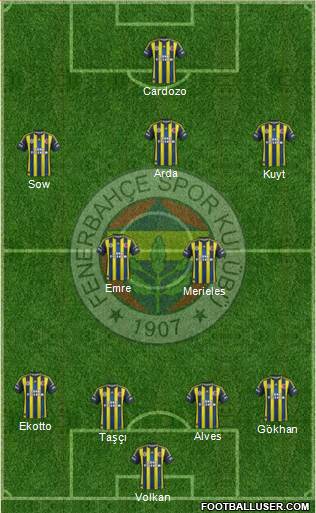 Fenerbahçe SK Formation 2013