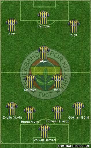 Fenerbahçe SK Formation 2013