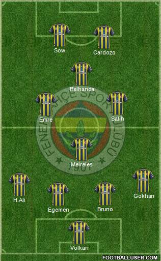 Fenerbahçe SK Formation 2013