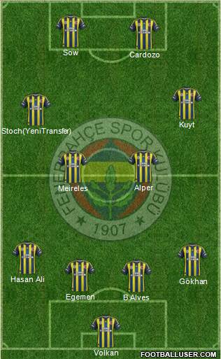 Fenerbahçe SK Formation 2013