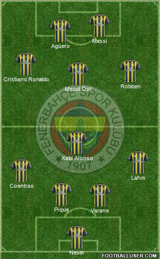 Fenerbahçe SK Formation 2013