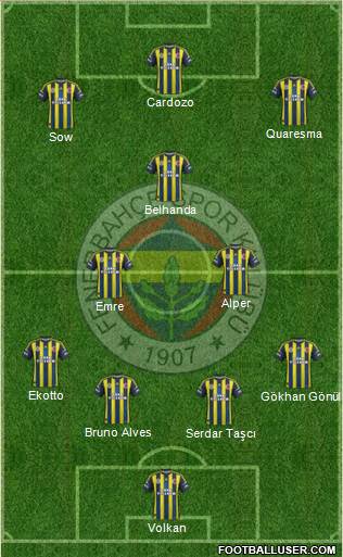 Fenerbahçe SK Formation 2013