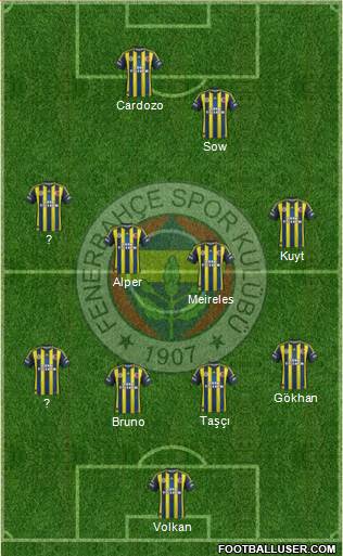Fenerbahçe SK Formation 2013