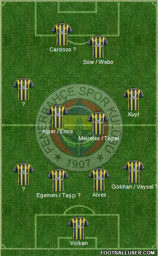 Fenerbahçe SK Formation 2013