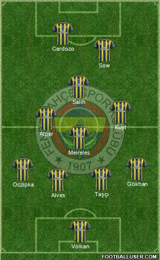Fenerbahçe SK Formation 2013