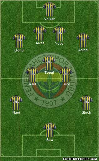 Fenerbahçe SK Formation 2013