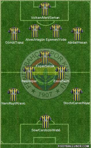 Fenerbahçe SK Formation 2013